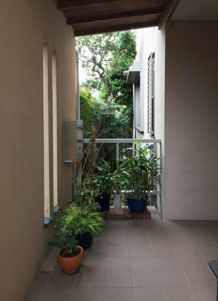 IMG_5494のコピー